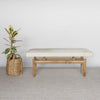 front view of a light cream colored hide ottoman bench next to a woven basket with a fig plant